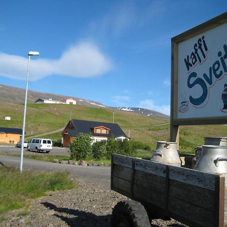 Daeli Guesthouse Víðidalstunga Dış mekan fotoğraf