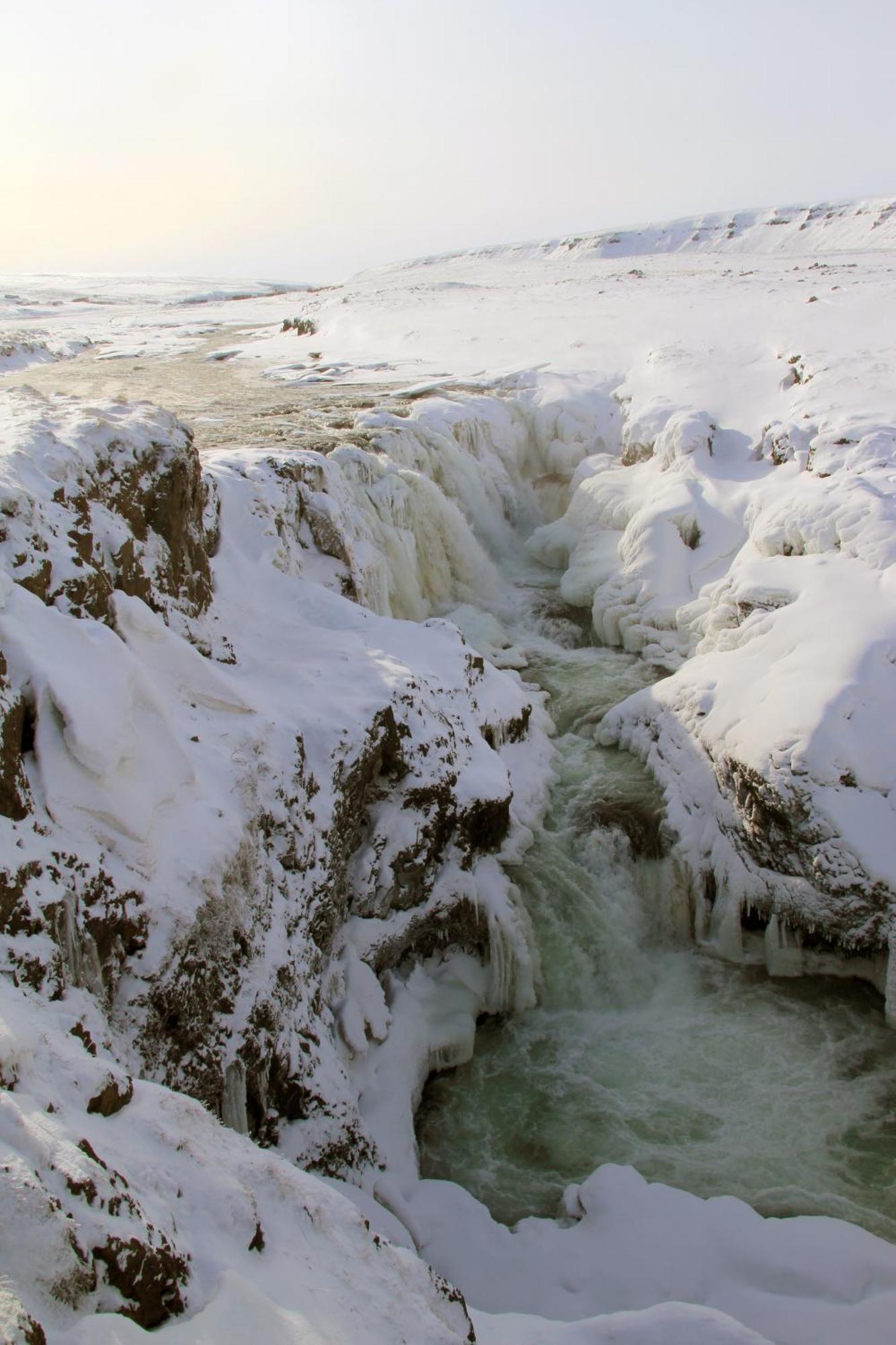 Daeli Guesthouse Víðidalstunga Dış mekan fotoğraf