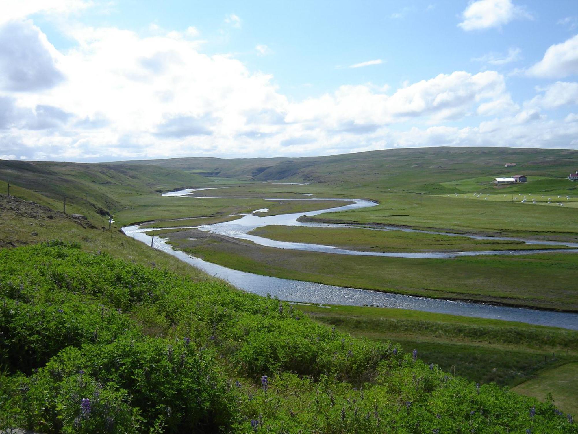 Daeli Guesthouse Víðidalstunga Dış mekan fotoğraf